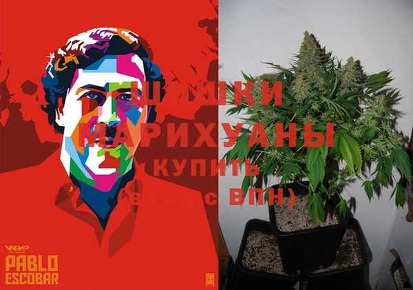 ПСИЛОЦИБИНОВЫЕ ГРИБЫ Аркадак