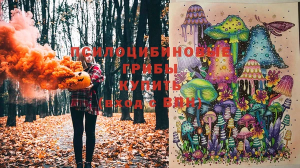 ПСИЛОЦИБИНОВЫЕ ГРИБЫ Аркадак