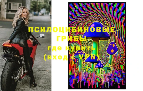 ПСИЛОЦИБИНОВЫЕ ГРИБЫ Аркадак