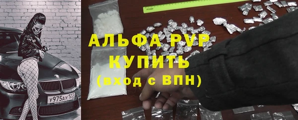 ПСИЛОЦИБИНОВЫЕ ГРИБЫ Аркадак