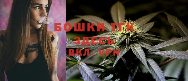 ПСИЛОЦИБИНОВЫЕ ГРИБЫ Аркадак