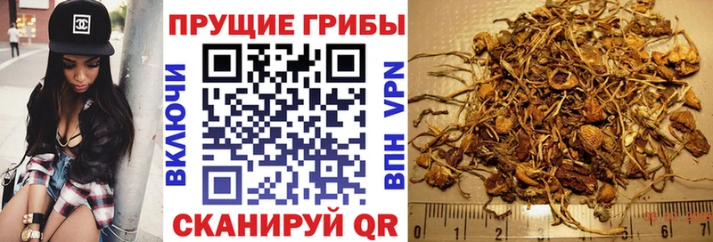 Галлюциногенные грибы ЛСД  Купить  Княгинино 