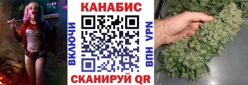 Купить закладки  Княгинино  Бошки Шишки семена 